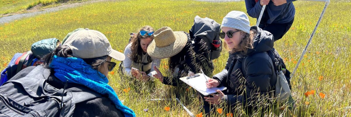 IMMP training overview