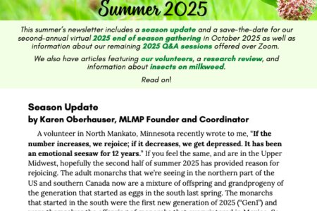 Summer25 Newsletter Thumbnail