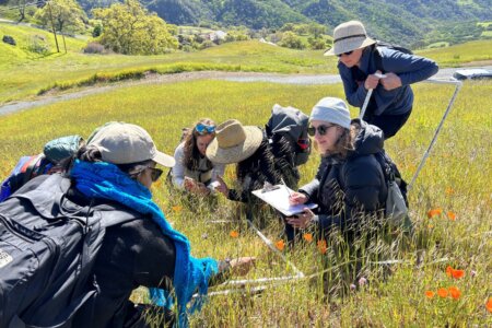 IMMP training overview 1