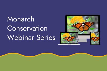 Monarch conservation webinar series website tile