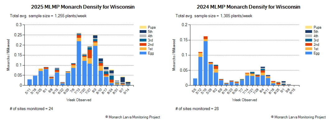 Monarch Larva Monitoring Project charts, Wisconsin 2024 vs. 2025