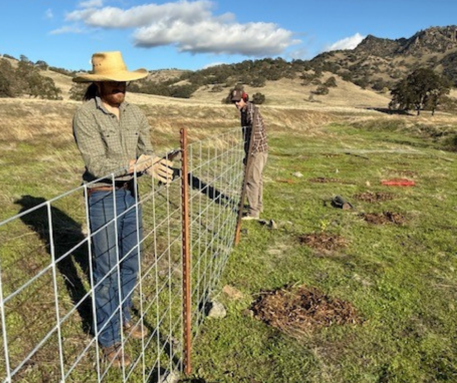 Bobcat Ranch planting