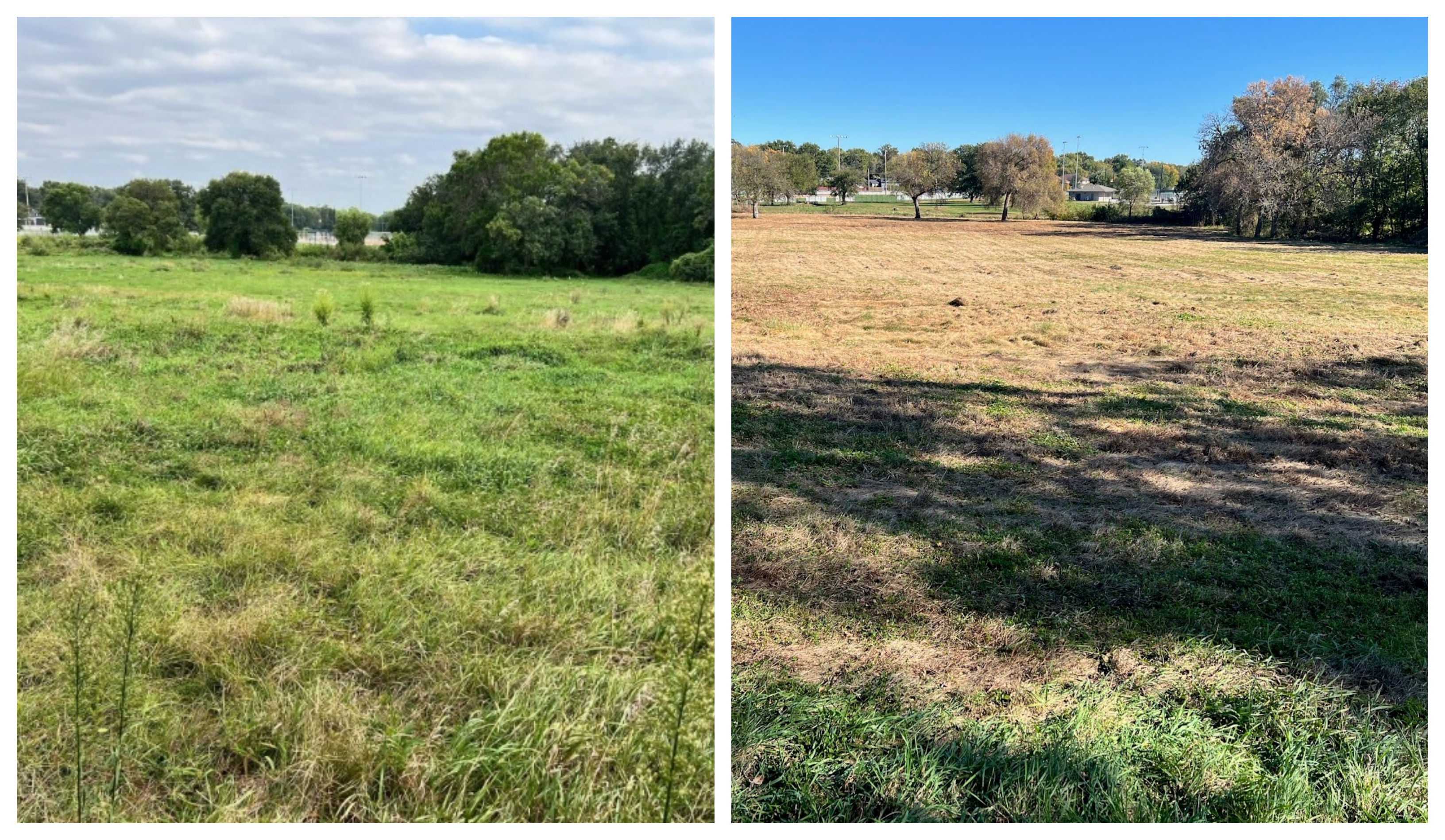 Before and after site preparation