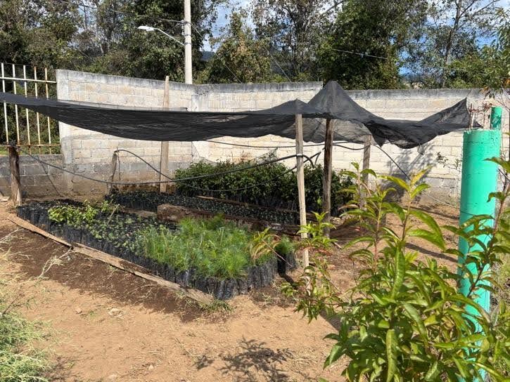 Tree nursery at a high school in the Francisco Serrato Community