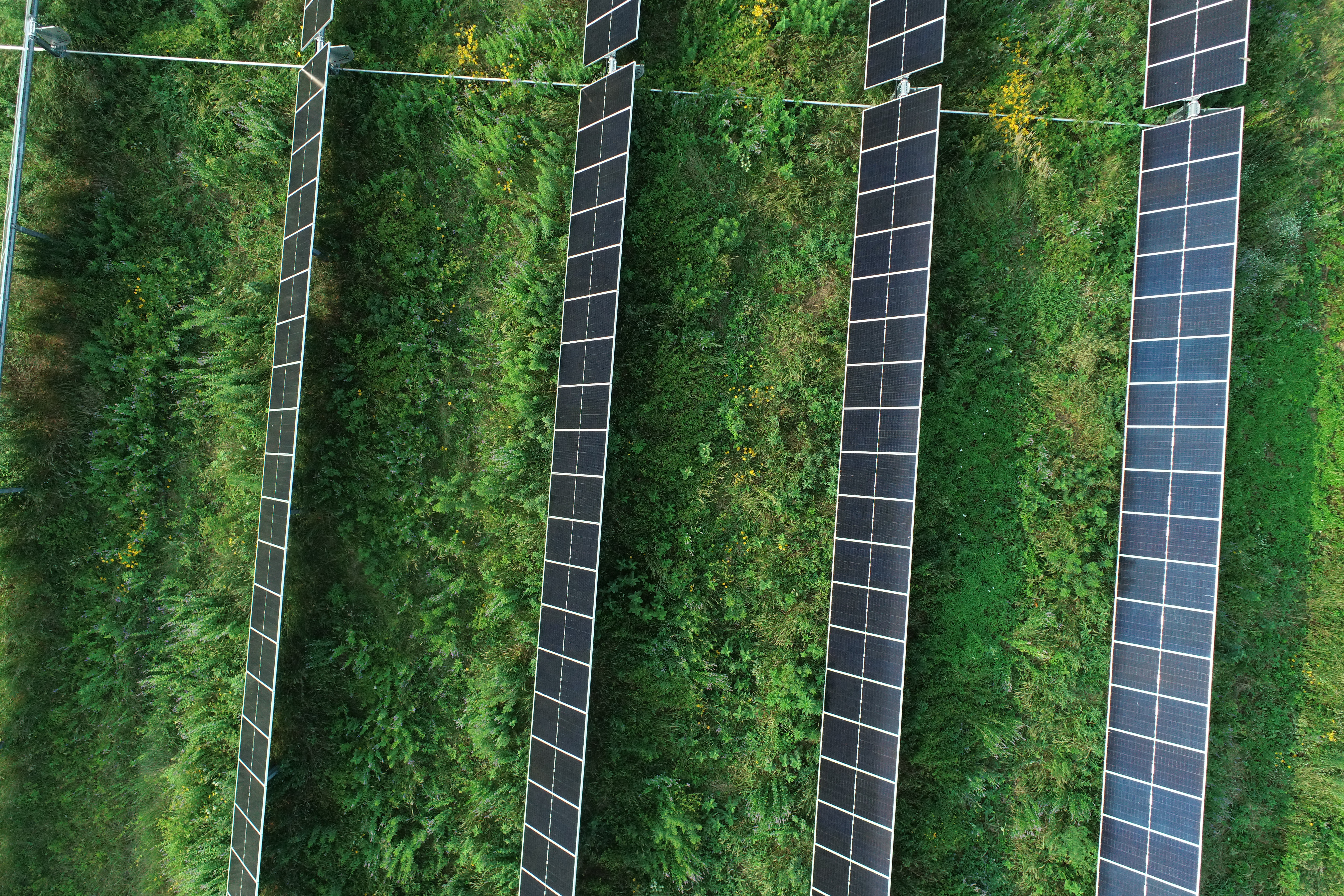 Solar field remote sensing
