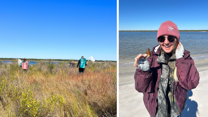 Mississippi Master Naturalist Joins the MJV Partner Network