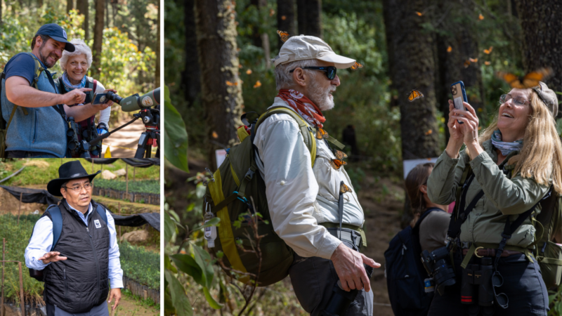 Welcoming Natural Habitat Adventures to the MJV Partner Network