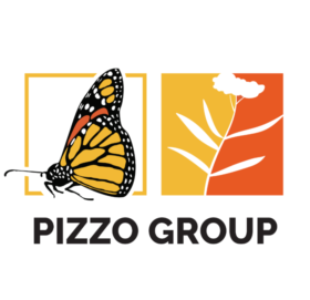 Pizzo group logo 2